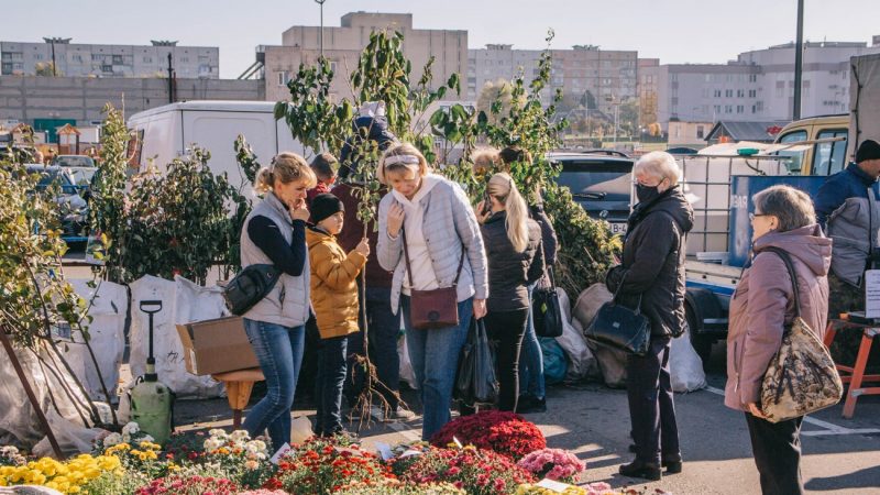 Семена, экзотические растения и свежие овощи: на этих выходных в ТЦ OldCity в Гродно откроется сельхозярмарка